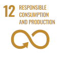 Establishing sustainable consumption and production patterns